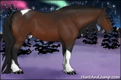 Horse Color:Gray Bay Tobiano Rabicano