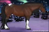 Horse Color:Gray Bay Tobiano Rabicano 