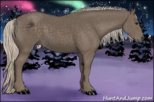 Horse Color:Silver Black 