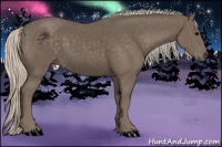 Horse Color:Silver Black 