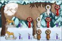 Horse Color:Classic Champagne Sabino Varnish 