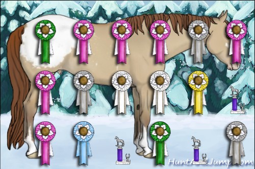 Horse Color:Classic Champagne Dun Sabino Appaloosa 