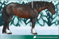 Horse Color:Brown Tobiano Rabicano