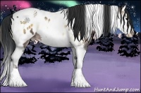 Horse Color:Brown Onyx Sabino Splash Tobiano Blanket Rabicano