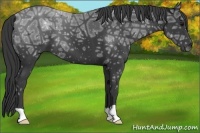Horse Color:Black Ice 