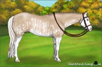 Horse Color:Chocolate Palomino Pearl Splash and Chocolate Palomino Pearl Splash