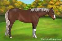 Horse Color:Silver Brown 