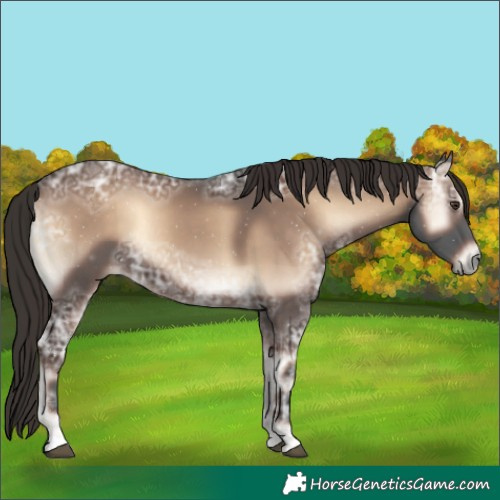 Horse Color:Liver Red Onyx Ice Rabicano