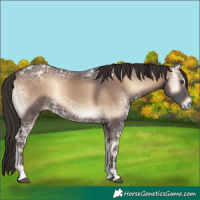 Horse Color:Liver Red Onyx Ice Rabicano 