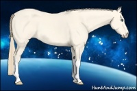 Horse Color:Perlino Dun 