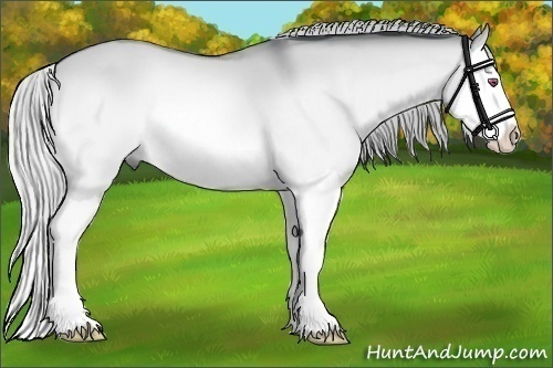 Horse Color:Silver Brown Chinchilla Dun Splash 