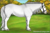 Horse Color:Silver Brown Chinchilla Dun Splash 