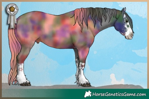 Horse Color:Nacre Black Sabino Splash 