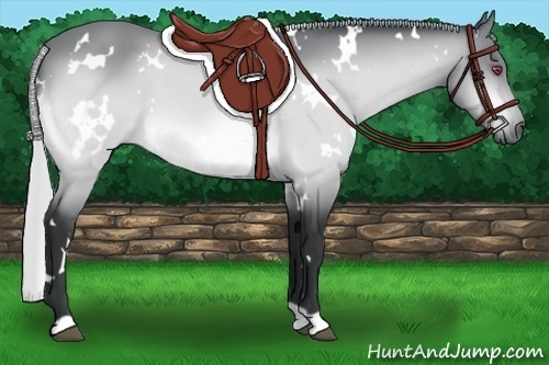 Horse Color:White Spotted Silver Brown Chinchilla