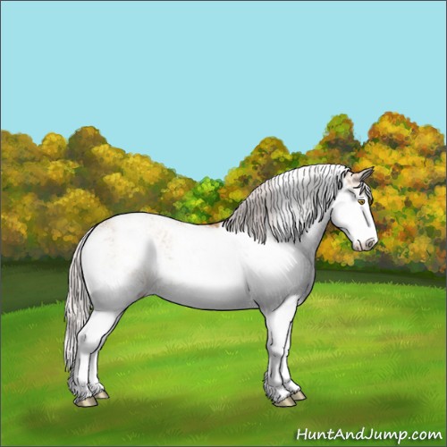 Horse Color:Silver Sable Champagne Sabino Rabicano 
