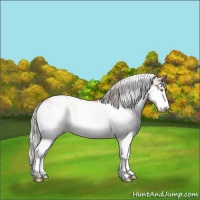 Horse Color:Silver Sable Champagne Sabino Rabicano 