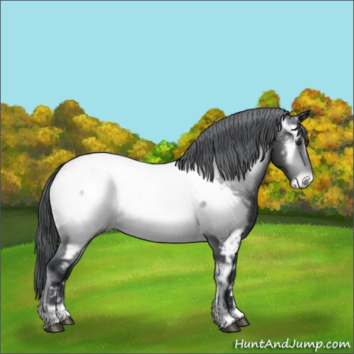 Horse Color:Brown Chinchilla Onyx Appaloosa Brindle 