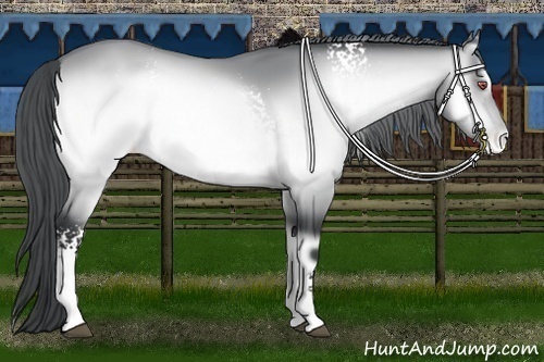 Horse Color:White Spotted Brown Chinchilla Onyx Varnish 