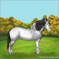 Horse Color:Sable Cream Champagne Chinchilla Onyx Tobiano Brindle 