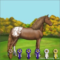 Horse Color:Chestnut Varnish Rabicano 