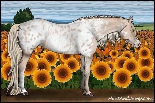 Horse Color:White Spotted Chestnut Pearl Mushroom Blanket