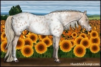 Horse Color:White Spotted Chestnut Pearl Mushroom Blanket
