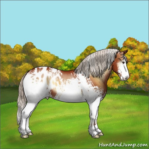 Horse Color:White Spotted Silver Bay Onyx Blanket Brindle