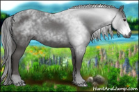 Horse Color:Gray Black 