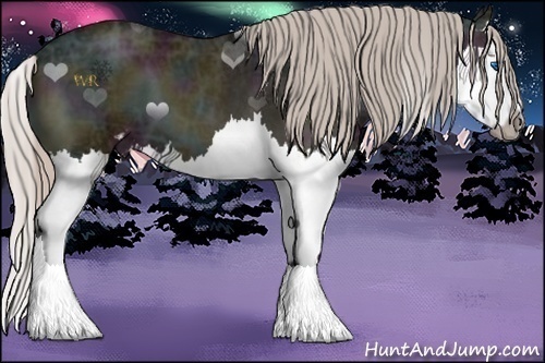 Horse Color:Midnight Silver Blue Onyx Ice Sabino Splash 