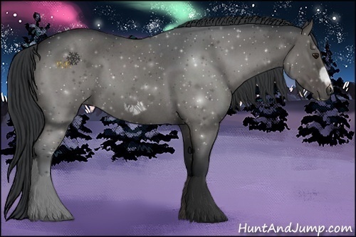 Horse Color:Grullo Roan Frame 