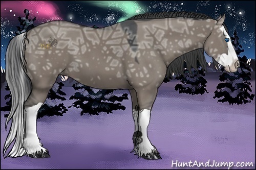 Horse Color:Grullo Ice Splash