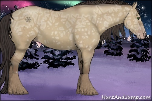 Horse Color:Classic Champagne Ice Dun Brindle 