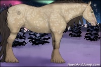 Horse Color:Classic Champagne Ice Dun Brindle 