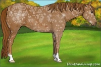 Horse Color:Chestnut Ice 
