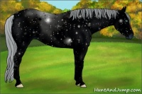 Horse Color:ERROR: UNKNOWN ANOMALY