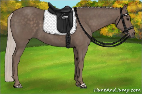 Horse Color:Silver Black 