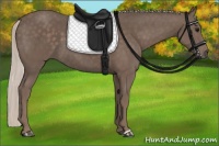 Horse Color:Silver Black 