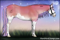 Horse Color:Painted Silver Amber Champagne Onyx Splash 