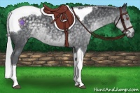 Horse Color:Silver Black Chinchilla Tobiano 