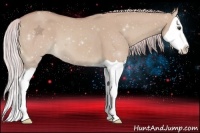 Horse Color:Watercolor Palomino Dun Splash 