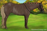 Horse Color:Liver Chestnut Rabicano 