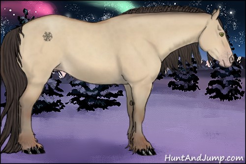 Horse Color:Amber Champagne Dun 