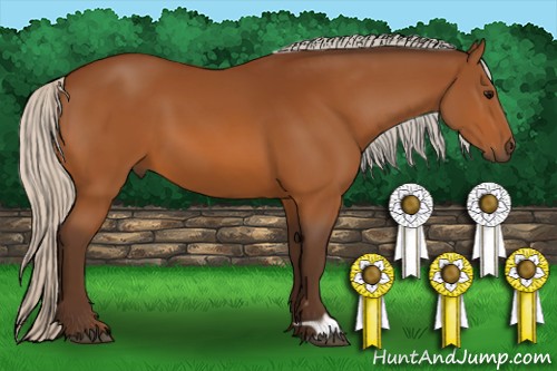 Horse Color:Silver Brown 