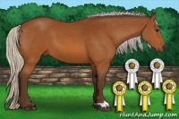Horse Color:Silver Brown 