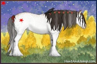 Horse Color:White Spotted Bay Dun Splash and White Spotted Bay Dun Splash