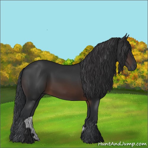 Horse Color:Brown 