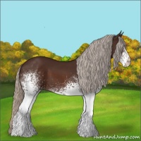 Horse Color:White Spotted Silver Brown 