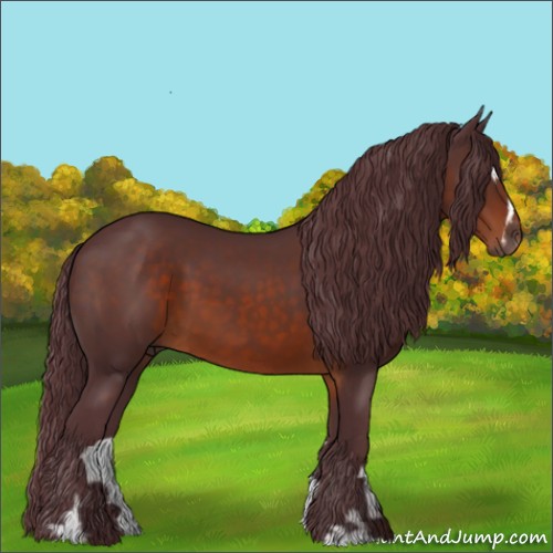 Horse Color:Chocolate Brown Sabino 