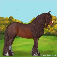 Horse Color:Chocolate Brown Sabino