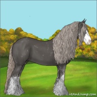 Horse Color:Silver Black Sabino 